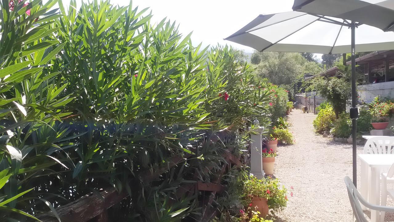 Albergo Terme Santamaria Castelforte Luaran gambar